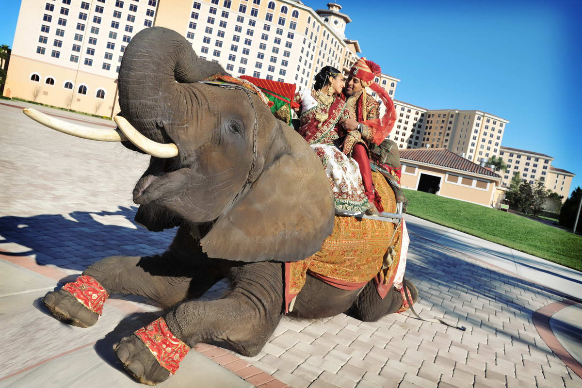 Destination Indian wedding — Indian wedding photography by Fine Art Production